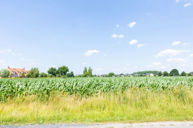 Pachthofstraat - 9800 Petegem-aan-de-Leie