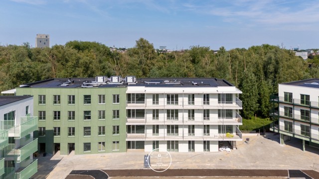 Steenanjer 5.1.6