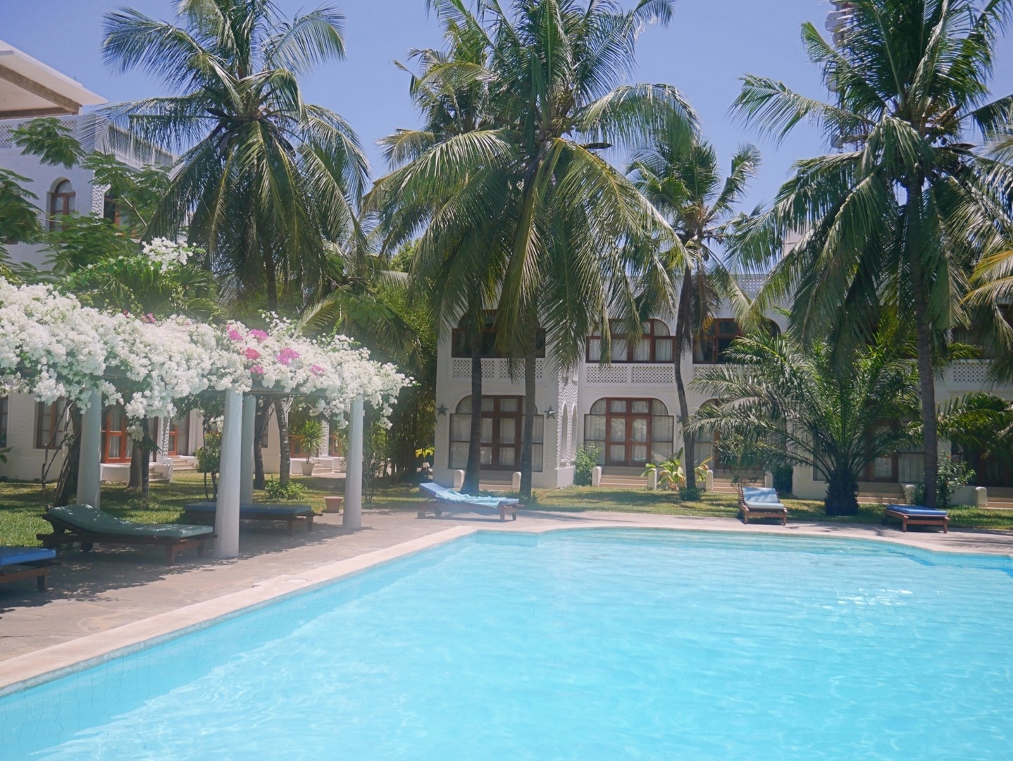 El Mufasa Luxury Apartments with pool and garden