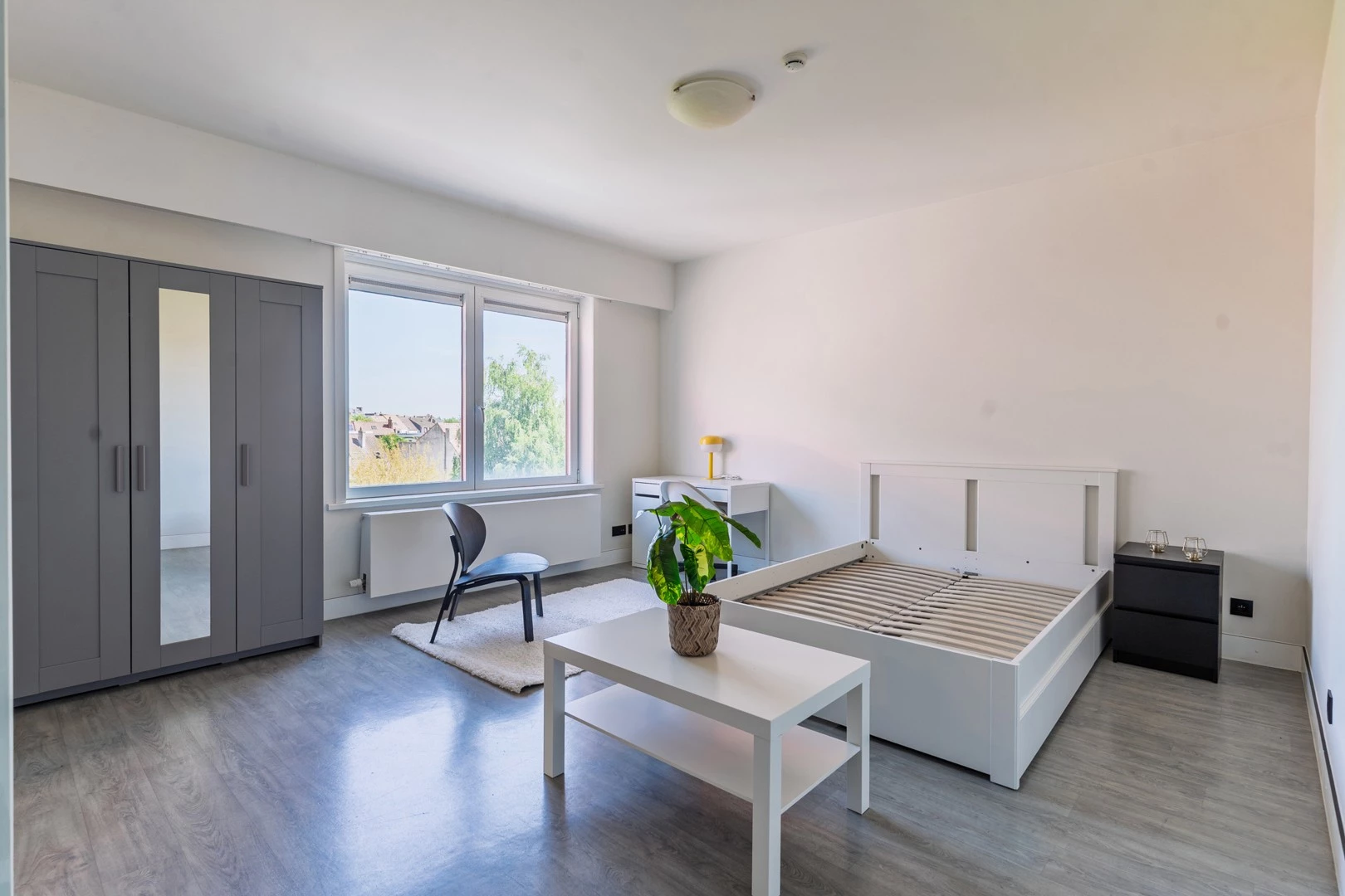 Gerenoveerde studentenkamers & studio’s