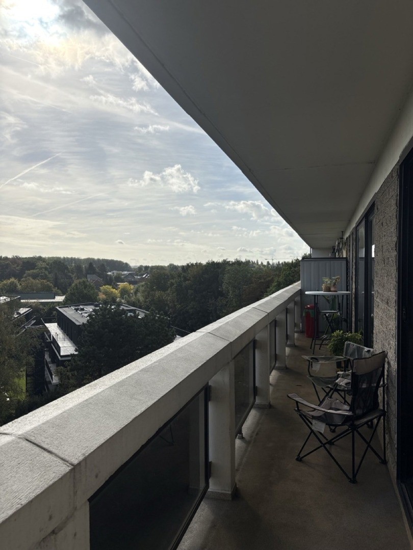 Potuitstraat 29 7
