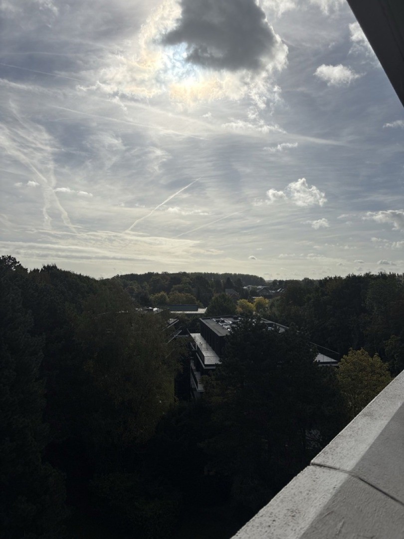 Potuitstraat 29 8