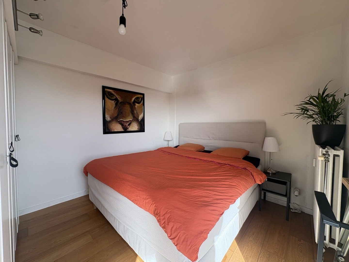 Potuitstraat 29 11