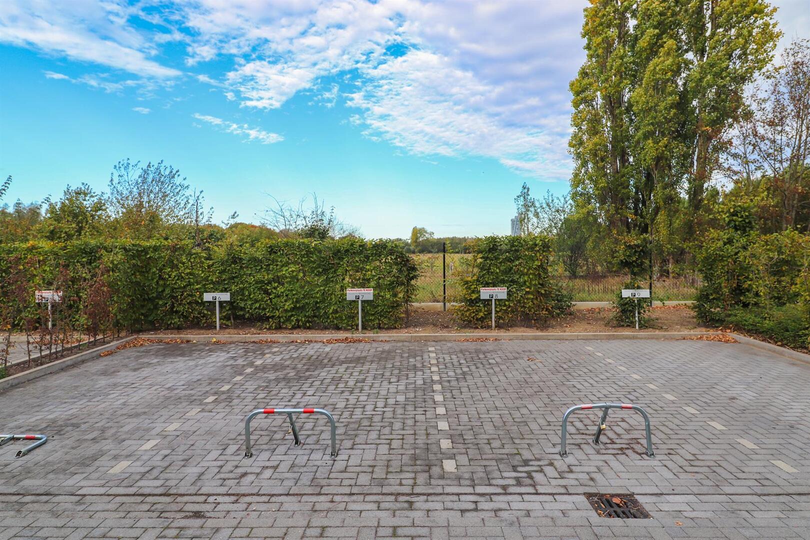 Rijvissche autostandplaatsen - Zwijnaarde 4