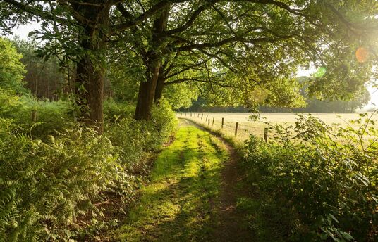 Natuur