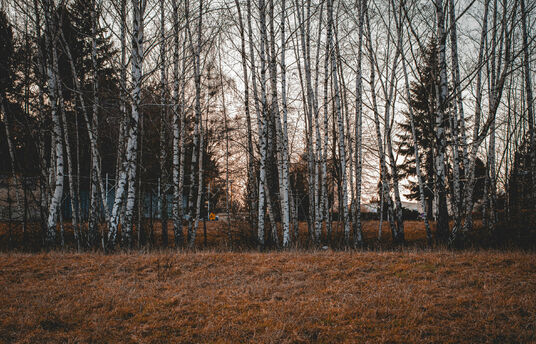 Natuur
