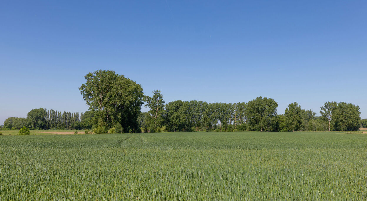 Appartement te koop in Zwalm