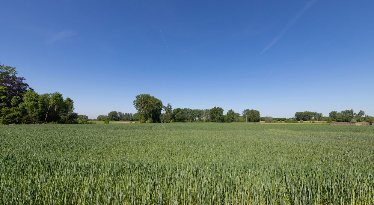 Appartement te koop in Zwalm