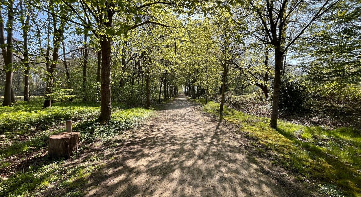 Bouwgrond te koop in Gavere