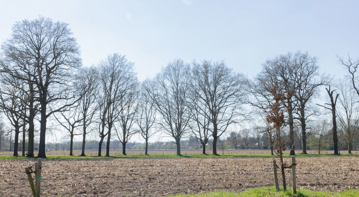 Gemengd gebruik te koop in Sint-Denijs-Westrem