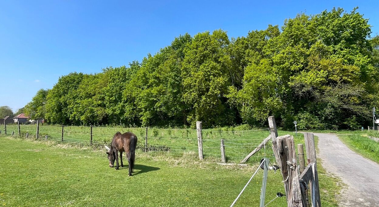 Huis te koop in Evergem