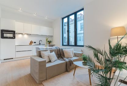 Gerenoveerd appartement te Gent